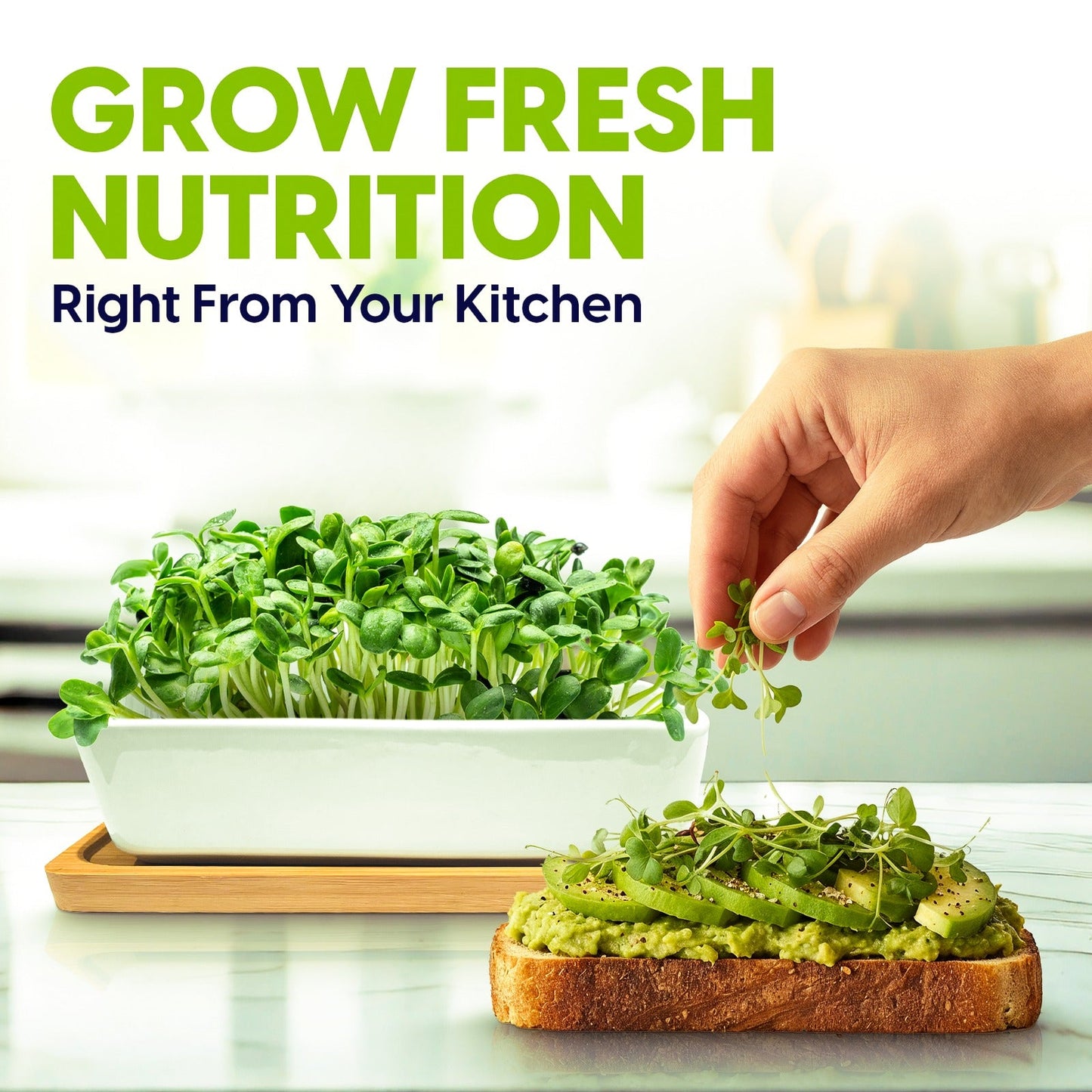 Ceramic Microgreens Growing Kit to Grow 3 Crops Including Organic USDA Red Amaranth, Purple Rambo Radish & Broccoli Microgreens Seeds.