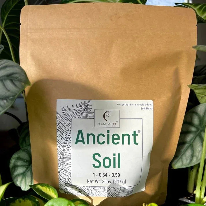 Ancient Soil Organic Living Soil