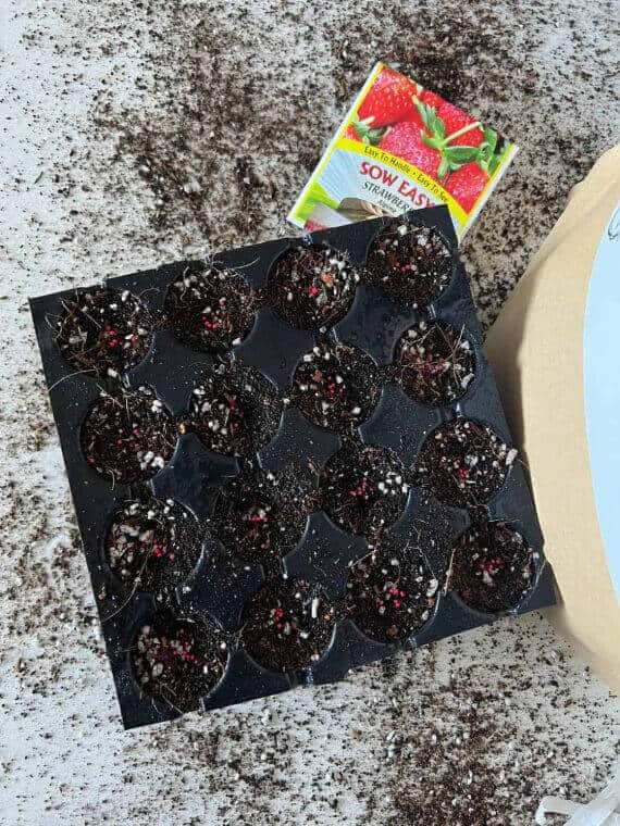 Seedling Mix for Seed Starting