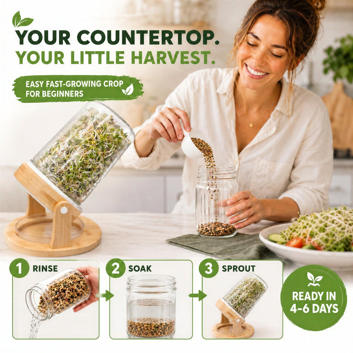 Mixed Sprouting Seeds Organic