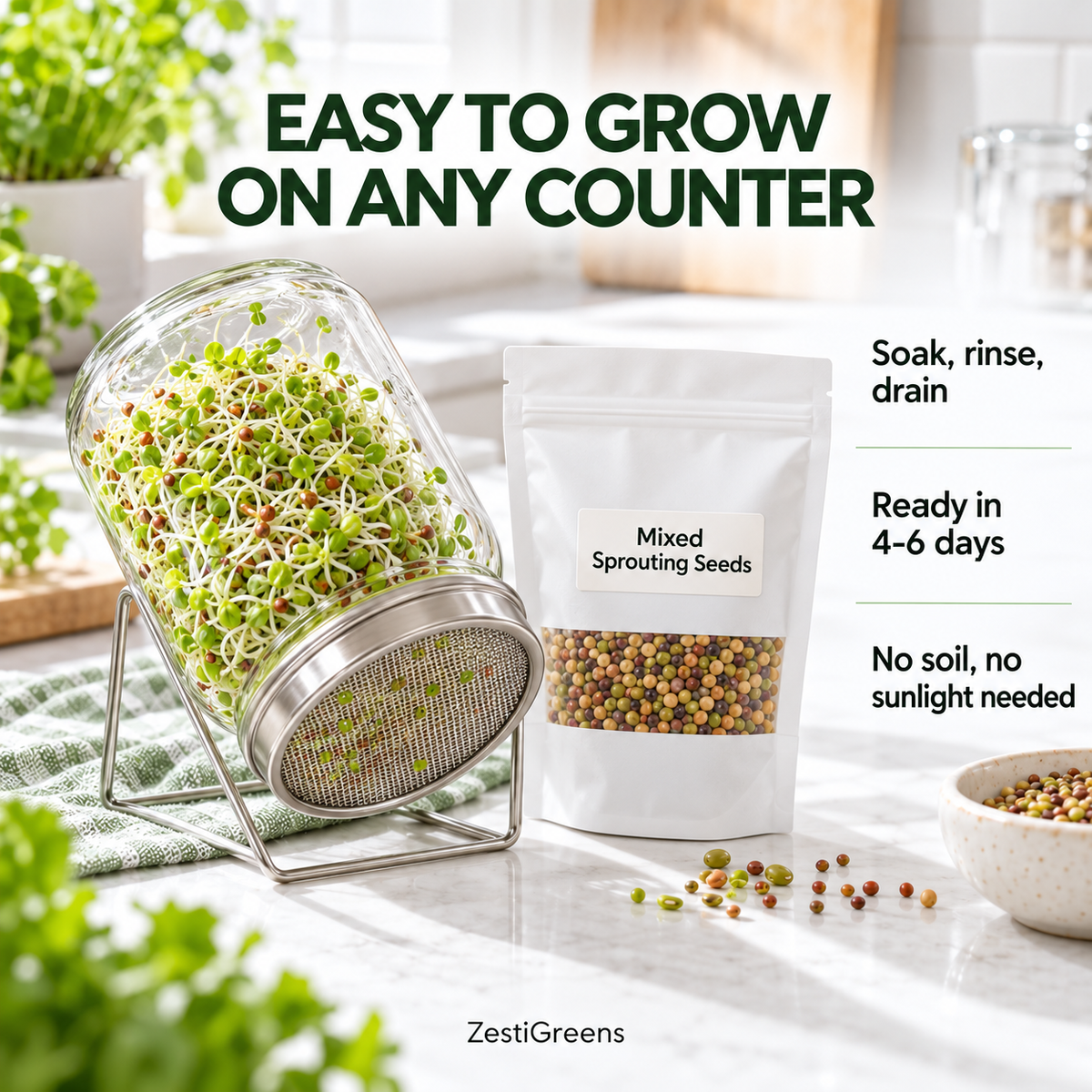 Mixed Sprouting Seeds Organic