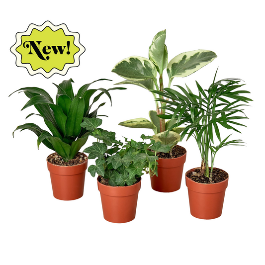 Virgo's Green Thumb