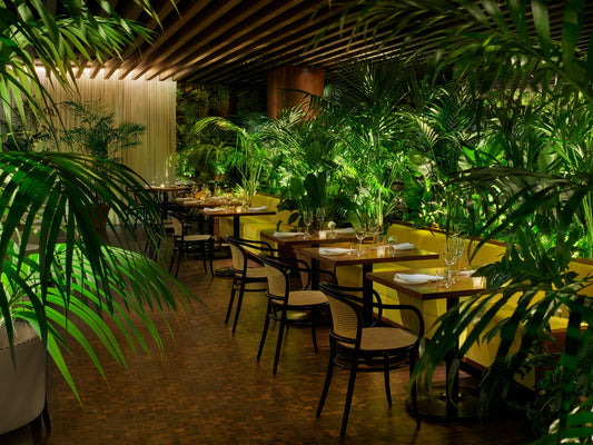 How Live Indoor Plants Can Transform Your Restaurant