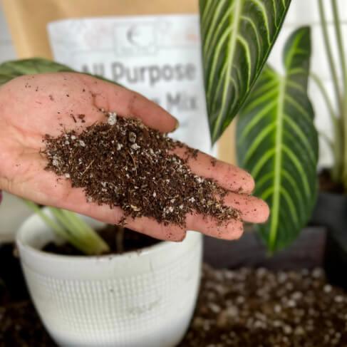 How to Create the Best Soil Mix for Any Indoor Plant