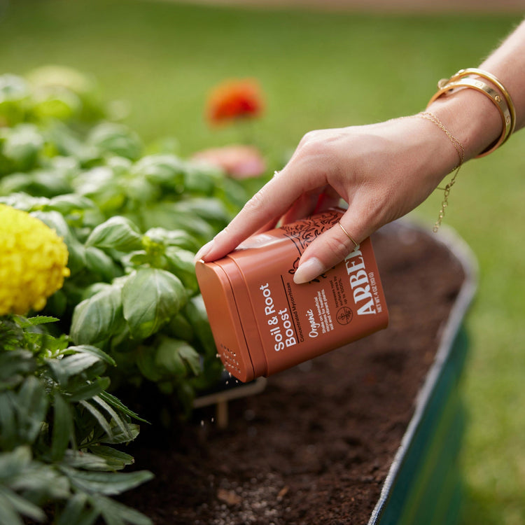 house plant soil
