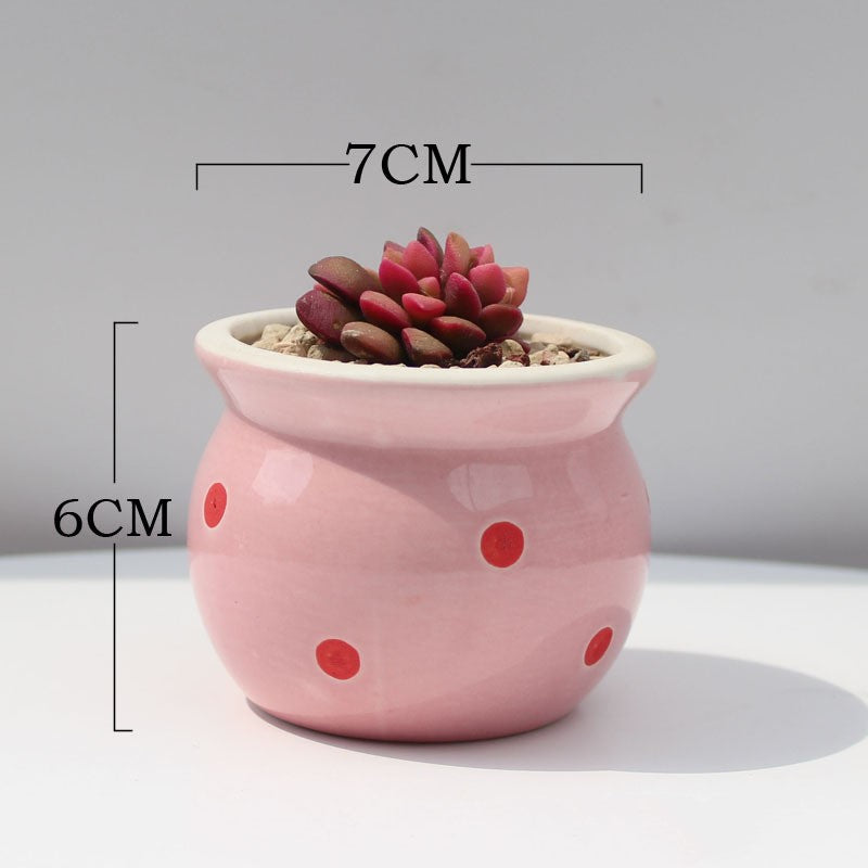 Succulent Flower Pot Ceramic Flower Pot Thumb Pot