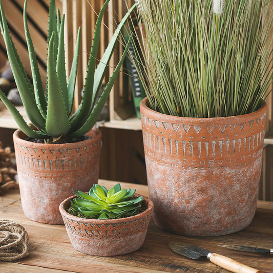 African earthenware cultivation in vintage terracotta pots.