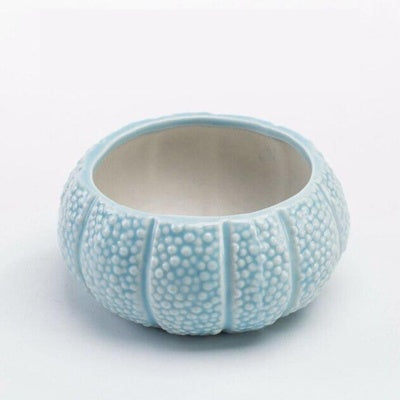 Succulent flower pot