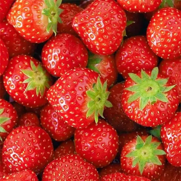 4 Types Of Fresh Fruit Seeds, One Will Be Sent Randomly. No One Knows What Will Happen. It's Suitable For Gifts On Independence Day, Halloween, And Christmas - Personalized Labels