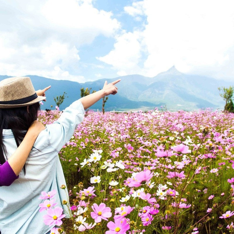 Flower Seeds Are Sown And Blooming In Four Seasons