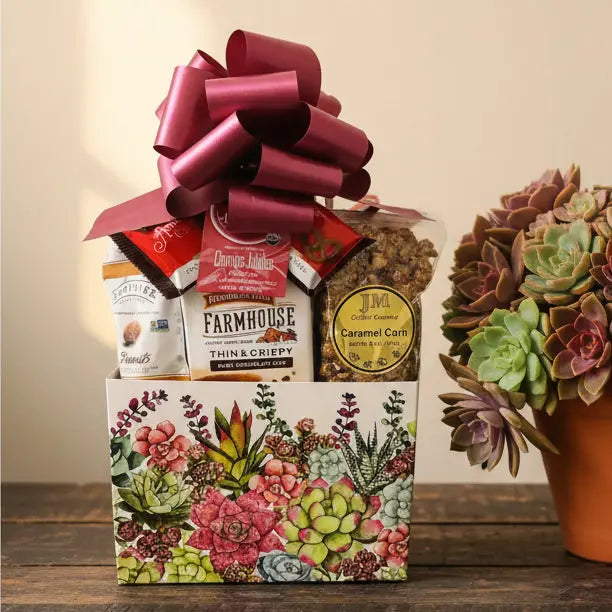 Large Succulent Gift Box - Premium Snack & Treats Gift Basket