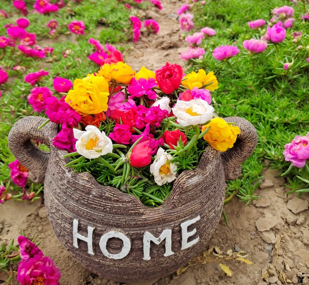 Baby's Breath, Sunflower, Cosmos, Daisy Four-season Seeds