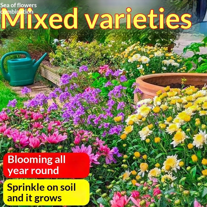 Easy-to-grow Outdoor Flower Seeds For Your Yard