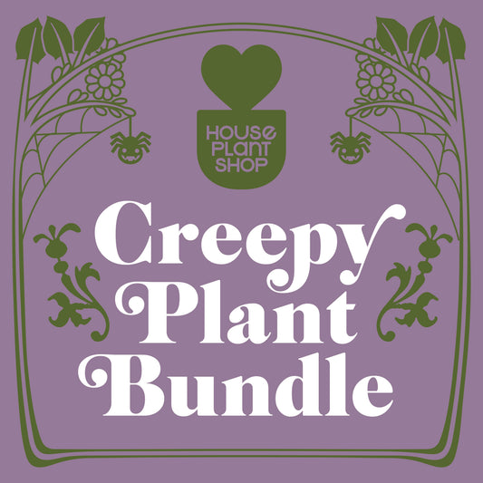 Promotional graphic for a 'Creepy Plant Bundle' by House Plant Shop, featuring white text inside an ornate olive green frame on a muted purple background.