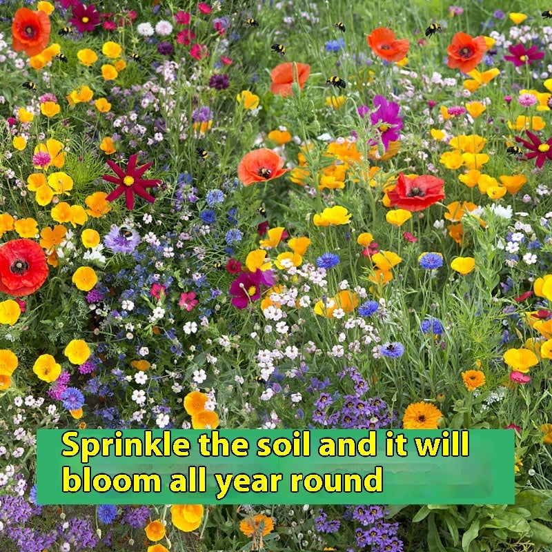Flower Seeds Are Sown And Blooming In Four Seasons