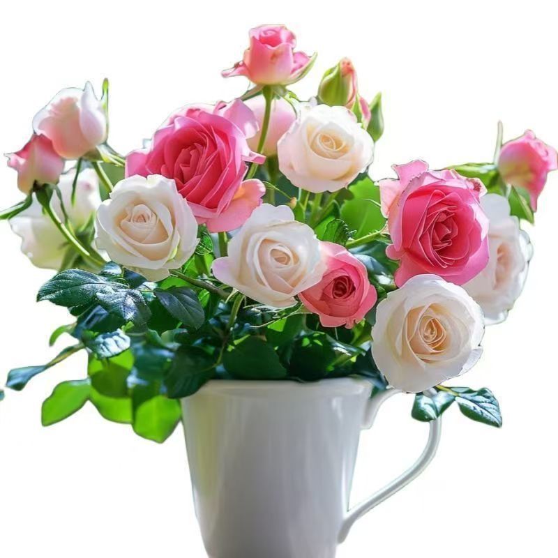 Seeds For Double-Flowered Climbing Roses With Large Flowers For All Seasons