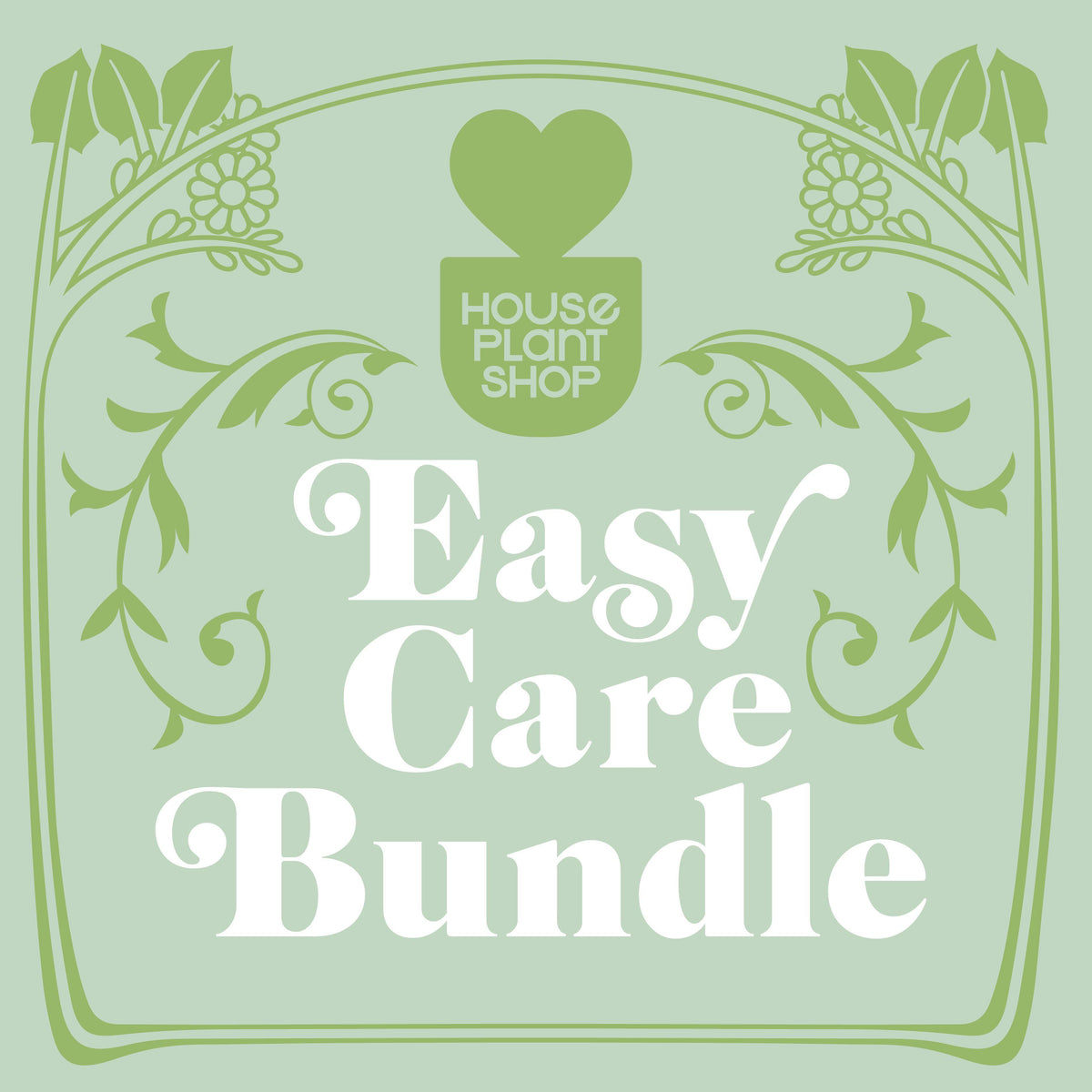 Advertisement for 'Easy Care Bundle' from House Plant Shop with decorative elements on a light green background.