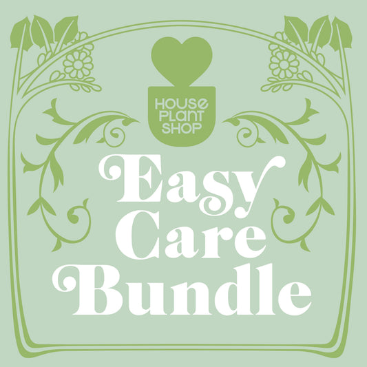 Advertisement for 'Easy Care Bundle' from House Plant Shop with decorative elements on a light green background.