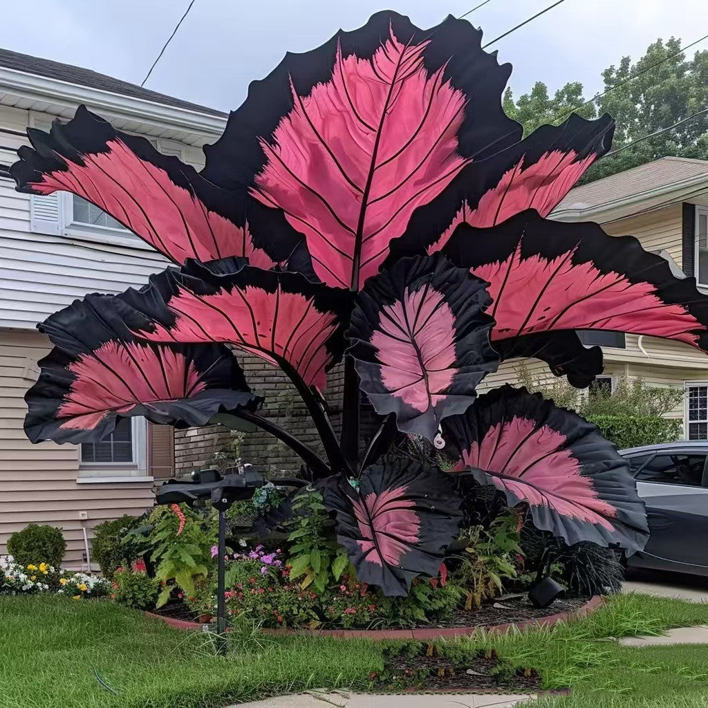 Four Season Potted Flowers Plant Seeds