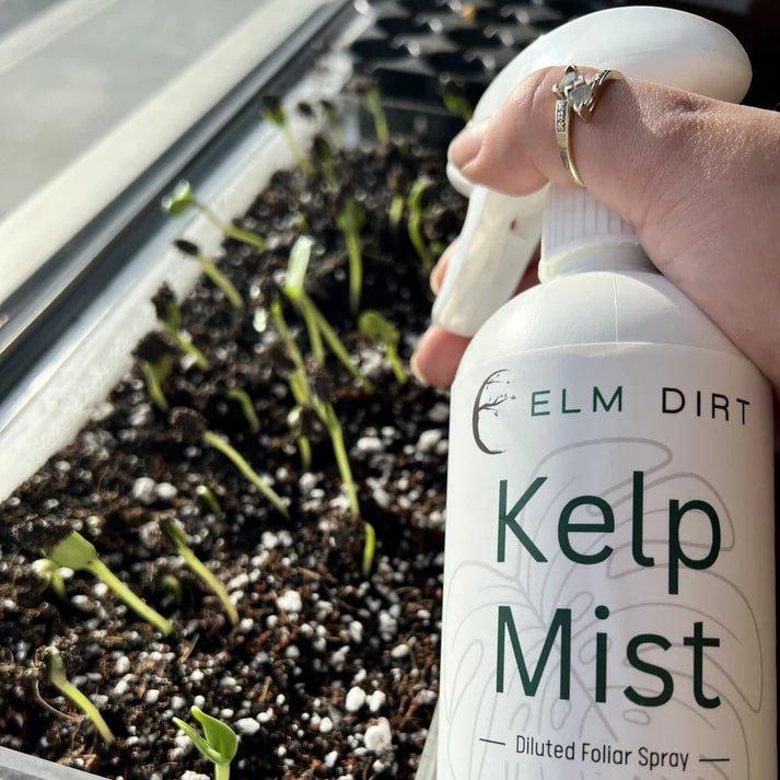 Kelp Mist Foliar Spray