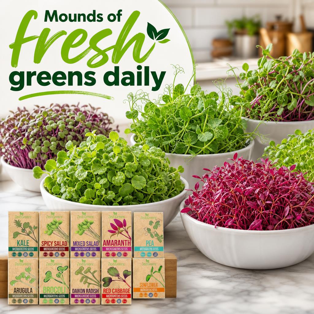 Organic Variety Pack Microgreens Seeds