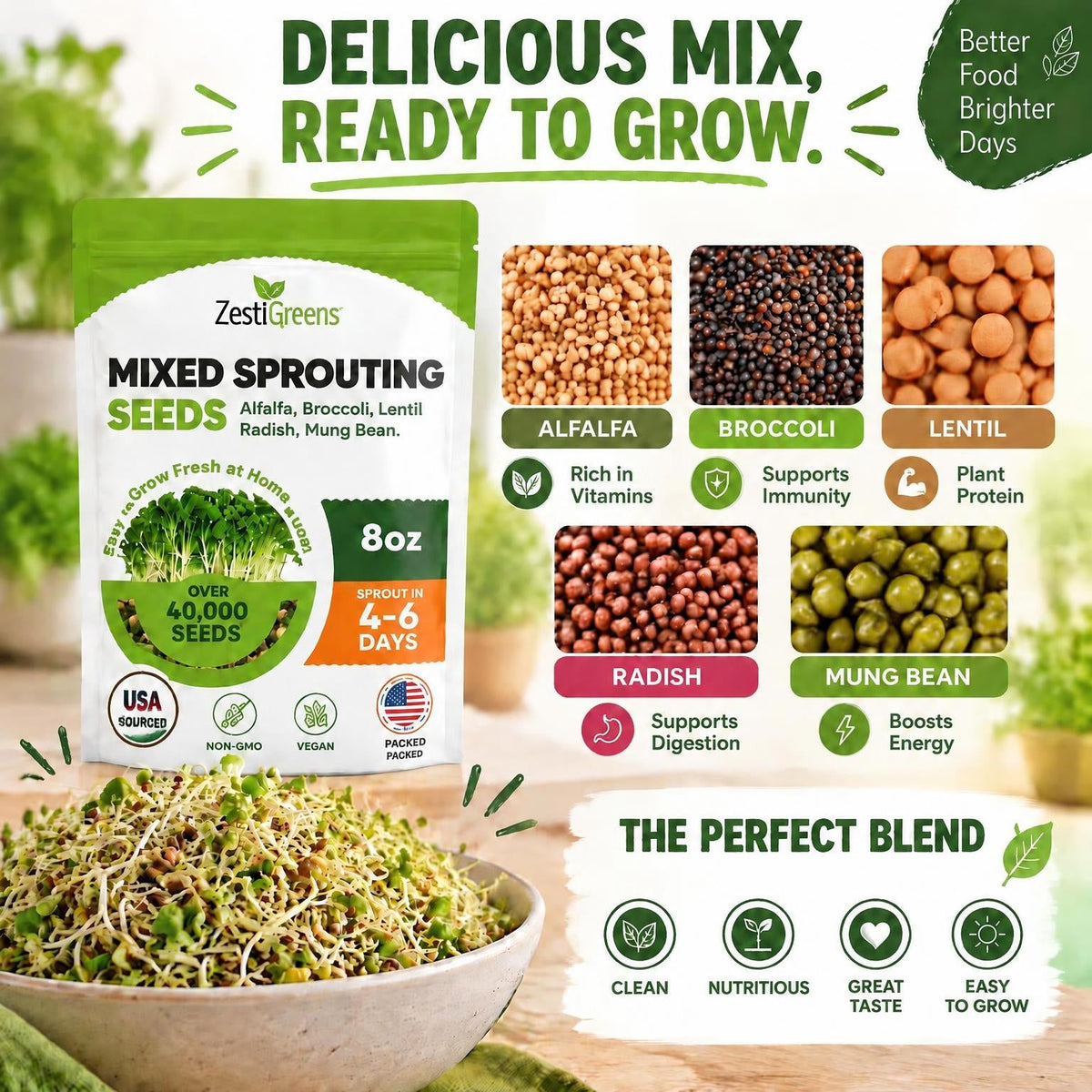 Mixed Sprouting Seeds Organic
