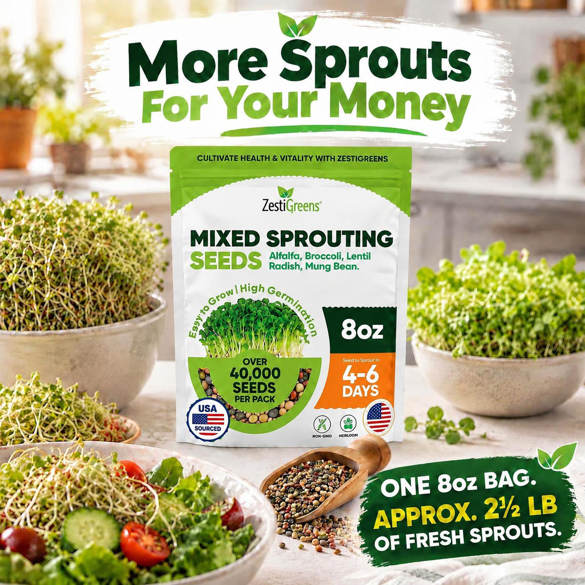 Mixed Sprouting Seeds Organic